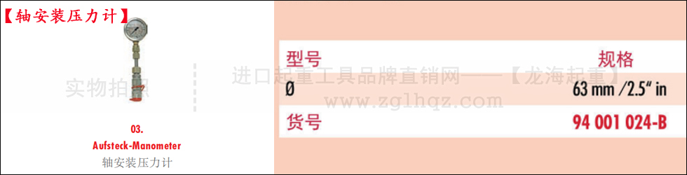 德國(guó)JUNG千斤頂配件：軸安裝壓力計(jì)