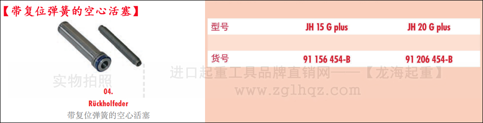 德國(guó)JUNG千斤頂配件：帶復(fù)位彈簧的空心活塞